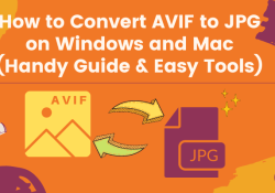 How to Convert AVIF to JPG on Windows and Mac (Handy Guide & Easy Tools)