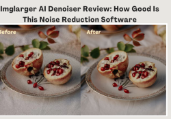 Imglarger AI Denoiser Review How Good Is This Noise Reduction Software