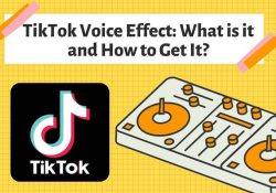 TikTok Voice Effect What is it and How to Get It